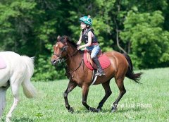 ALPonyCamp2015066_Web.jpg