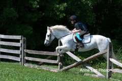 ALPonyCamp2015069_Web.jpg
