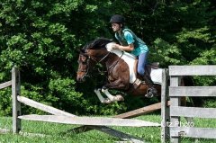 ALPonyCamp2015071_Web.jpg