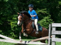 ALPonyCamp2015072_Web.jpg