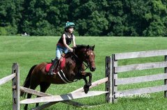 ALPonyCamp2015076_Web.jpg