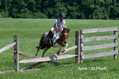 ALPonyCamp2015077_Web.jpg
