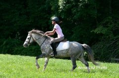 ALPonyCamp2015079_Web.jpg