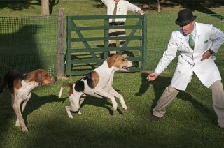 AL_GSVPuppyShow2017_001-10.04.54-AM.jpg
