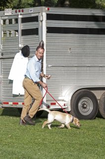 AL_GSVPuppyShow2017_004-10.06.46-AM.jpg