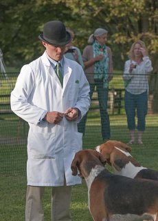 AL_GSVPuppyShow2017_011.jpg