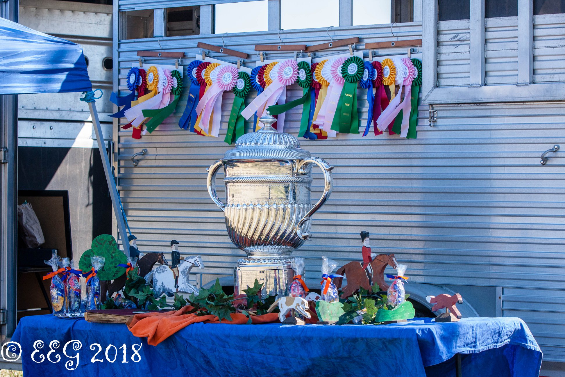 EEG FoxHall2018 